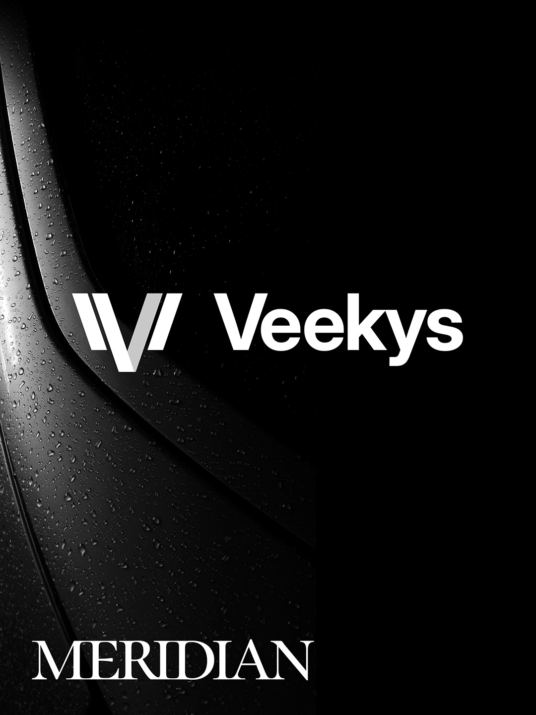 Veekys Redefining Premium EV Accessories visual 1