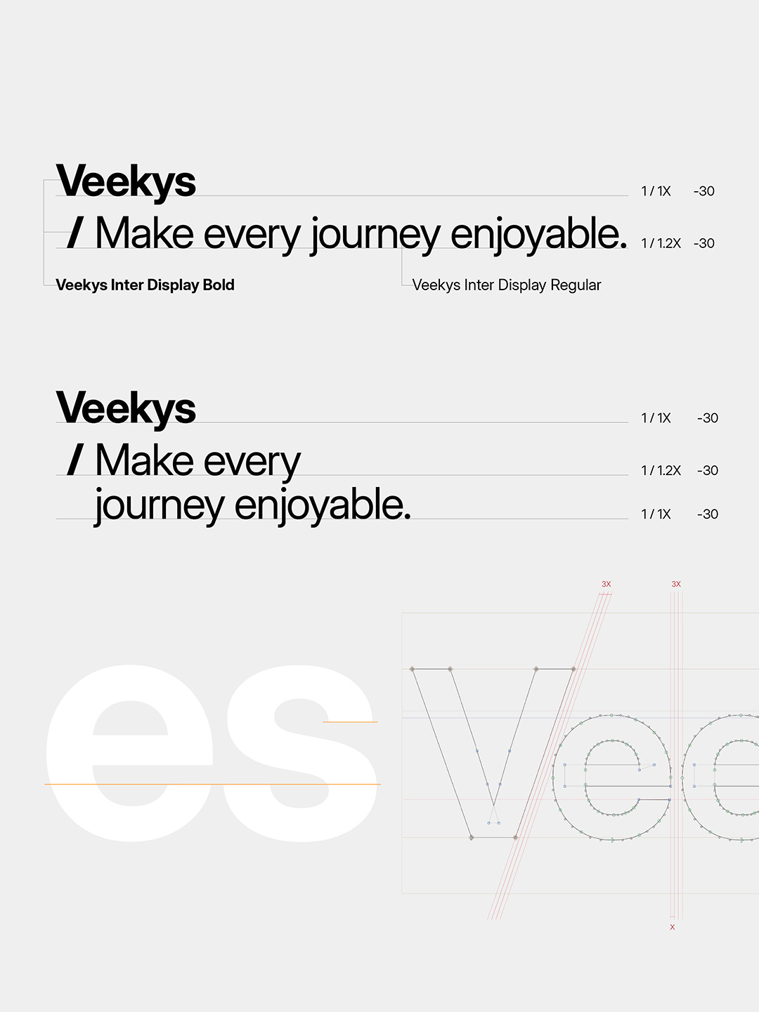 Veekys Redefining Premium EV Accessories visual 5